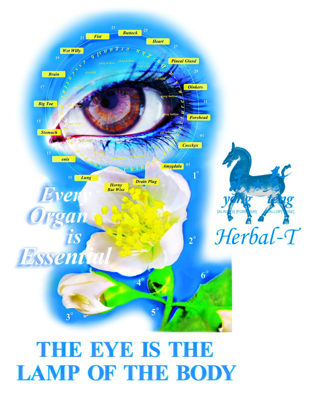 Herbal-T 5